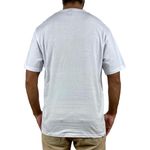 Camiseta-Volcom-Silk-Weight--2-